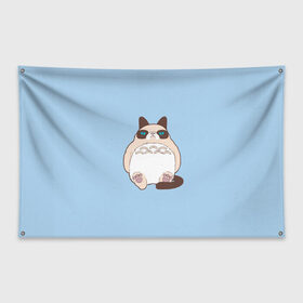 Флаг-баннер с принтом Тоторный кот в Кировске, 100% полиэстер | размер 67 х 109 см, плотность ткани — 95 г/м2; по краям флага есть четыре люверса для крепления | grumpy cat | белый | кот тоторо | кот. недовольный кот | крем | мило | милота | мимишка | тоторо