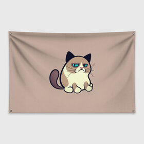 Флаг-баннер с принтом Великий Grumpy Cat в Кировске, 100% полиэстер | размер 67 х 109 см, плотность ткани — 95 г/м2; по краям флага есть четыре люверса для крепления | grumpy cat | арт | кот | кот grumpy cat | котёнок | кошка | недовольный кот | рисунок