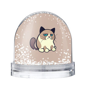 Снежный шар с принтом Великий Grumpy Cat в Кировске, Пластик | Изображение внутри шара печатается на глянцевой фотобумаге с двух сторон | grumpy cat | арт | кот | кот grumpy cat | котёнок | кошка | недовольный кот | рисунок