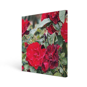 Холст квадратный с принтом Red Roses в Кировске, 100% ПВХ |  | bush | floral | flower | garden | green | nature | red roses | бутоны | красная роза | куст | листья | природа | роза | сад | цветение | цветок | цветы