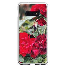 Чехол для Samsung S10E с принтом Red Roses в Кировске, Силикон | Область печати: задняя сторона чехла, без боковых панелей | Тематика изображения на принте: bush | floral | flower | garden | green | nature | red roses | бутоны | красная роза | куст | листья | природа | роза | сад | цветение | цветок | цветы