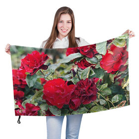 Флаг 3D с принтом Red Roses в Кировске, 100% полиэстер | плотность ткани — 95 г/м2, размер — 67 х 109 см. Принт наносится с одной стороны | bush | floral | flower | garden | green | nature | red roses | бутоны | красная роза | куст | листья | природа | роза | сад | цветение | цветок | цветы