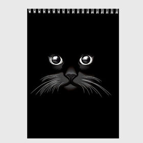Скетчбук с принтом Кошачья моська в Кировске, 100% бумага
 | 48 листов, плотность листов — 100 г/м2, плотность картонной обложки — 250 г/м2. Листы скреплены сверху удобной пружинной спиралью | Тематика изображения на принте: арт | вектор | кот | котёнок | кошка | рисунок | черная кошка | чёрный | черный кот | черный котенок