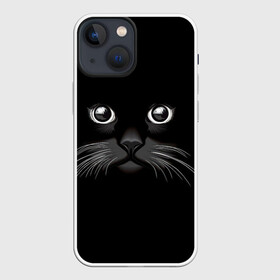 Чехол для iPhone 13 mini с принтом Кошачья моська в Кировске,  |  | Тематика изображения на принте: арт | вектор | кот | котёнок | кошка | рисунок | черная кошка | чёрный | черный кот | черный котенок