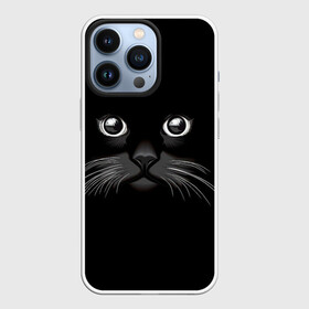 Чехол для iPhone 13 Pro с принтом Кошачья моська в Кировске,  |  | арт | вектор | кот | котёнок | кошка | рисунок | черная кошка | чёрный | черный кот | черный котенок