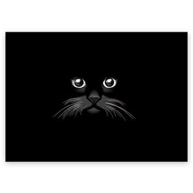 Поздравительная открытка с принтом Кошачья моська в Кировске, 100% бумага | плотность бумаги 280 г/м2, матовая, на обратной стороне линовка и место для марки
 | арт | вектор | кот | котёнок | кошка | рисунок | черная кошка | чёрный | черный кот | черный котенок