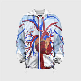 Детская куртка 3D с принтом Сердце в Кировске, 100% полиэстер | застежка — молния, подол и капюшон оформлены резинкой с фиксаторами, по бокам — два кармана без застежек, один потайной карман на груди, плотность верхнего слоя — 90 г/м2; плотность флисового подклада — 260 г/м2 | Тематика изображения на принте: нервная система | органы | сердце | сосуды | строение человека