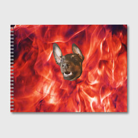 Альбом для рисования с принтом Огненый Пес в Кировске, 100% бумага
 | матовая бумага, плотность 200 мг. | голова | горячий | горящий | доберман | животное | зверек | зверь | зубы | клык | красный | лицо | овчарка | огонь | пес | пламя | рот | ротвейлер | свет | собака | удивленный | улыбка | щенок
