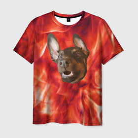 Мужская футболка 3D с принтом Огненый Пес в Кировске, 100% полиэфир | прямой крой, круглый вырез горловины, длина до линии бедер | голова | горячий | горящий | доберман | животное | зверек | зверь | зубы | клык | красный | лицо | овчарка | огонь | пес | пламя | рот | ротвейлер | свет | собака | удивленный | улыбка | щенок
