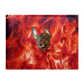 Обложка для студенческого билета с принтом Огненый Пес в Кировске, натуральная кожа | Размер: 11*8 см; Печать на всей внешней стороне | голова | горячий | горящий | доберман | животное | зверек | зверь | зубы | клык | красный | лицо | овчарка | огонь | пес | пламя | рот | ротвейлер | свет | собака | удивленный | улыбка | щенок