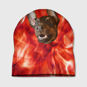 Шапка 3D с принтом Огненый Пес в Кировске, 100% полиэстер | универсальный размер, печать по всей поверхности изделия | голова | горячий | горящий | доберман | животное | зверек | зверь | зубы | клык | красный | лицо | овчарка | огонь | пес | пламя | рот | ротвейлер | свет | собака | удивленный | улыбка | щенок