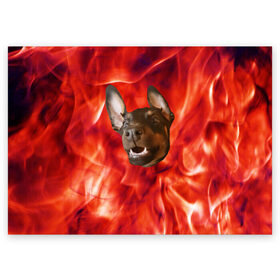 Поздравительная открытка с принтом Огненый Пес в Кировске, 100% бумага | плотность бумаги 280 г/м2, матовая, на обратной стороне линовка и место для марки
 | голова | горячий | горящий | доберман | животное | зверек | зверь | зубы | клык | красный | лицо | овчарка | огонь | пес | пламя | рот | ротвейлер | свет | собака | удивленный | улыбка | щенок