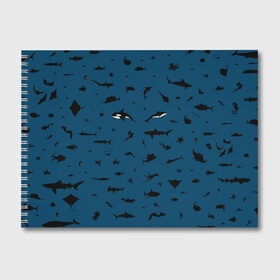 Альбом для рисования с принтом Fish в Кировске, 100% бумага
 | матовая бумага, плотность 200 мг. | Тематика изображения на принте: dolphin | fish | killer whale | see life | shark | акула | дельфин | касатка | морские обитатели | рыба
