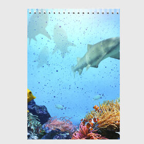 Скетчбук с принтом акулы в Кировске, 100% бумага
 | 48 листов, плотность листов — 100 г/м2, плотность картонной обложки — 250 г/м2. Листы скреплены сверху удобной пружинной спиралью | аквариум | акула | море | морской житель | океан