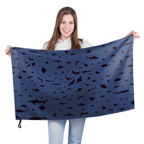 Флаг 3D с принтом Manta в Кировске, 100% полиэстер | плотность ткани — 95 г/м2, размер — 67 х 109 см. Принт наносится с одной стороны | dolphin | fish | killer whale | manta | see life | shark | акула | дельфин | касатка | морские обитатели | рыба