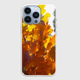 Чехол для iPhone 13 Pro с принтом Букет из осенних листьев в Кировске,  |  | бабье лето | золотая осень | листья желтые | листья осенние | сентябрь | третье сентября