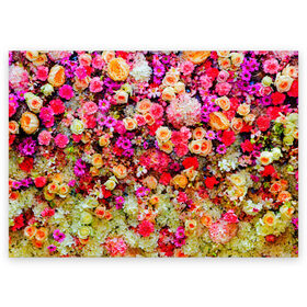 Поздравительная открытка с принтом Цветы в Кировске, 100% бумага | плотность бумаги 280 г/м2, матовая, на обратной стороне линовка и место для марки
 | Тематика изображения на принте: весна | красивые цветы | красота | милые цветы | орхидея | пион | роза | розы | ромашка | сад | сирень | фиалка | цветок | цветочки | цветы