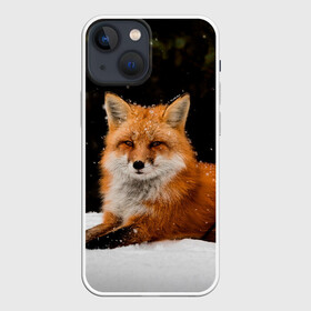 Чехол для iPhone 13 mini с принтом Лиса и снег в Кировске,  |  | fox | foxy | животные | звери | зима | зимняя | лиса | лисичка | лисы | природа | снег | снежная