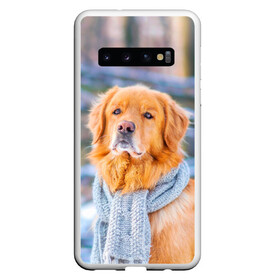 Чехол для Samsung Galaxy S10 с принтом Золотистый Ретривер в Кировске, Силикон | Область печати: задняя сторона чехла, без боковых панелей | dog | животные | золотистый | золотой | пес | природа | ретривер | собака | собаки | собакчка | собачки
