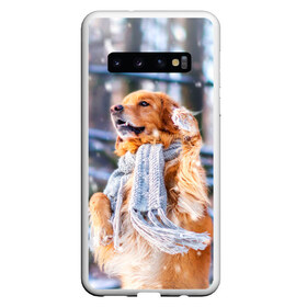 Чехол для Samsung Galaxy S10 с принтом Золотистый Ретривер в Кировске, Силикон | Область печати: задняя сторона чехла, без боковых панелей | dog | животные | золотистый | золотой | пес | природа | ретривер | собака | собаки | собакчка | собачки