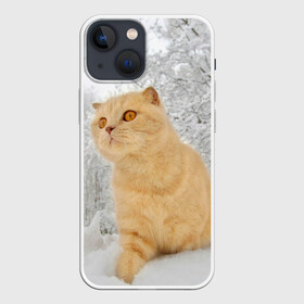 Чехол для iPhone 13 mini с принтом Кот и снег в Кировске,  |  | cat | животные | звири | кис | киска | кот | котейка | котик | коты | котяра | кошка | кошки | природа