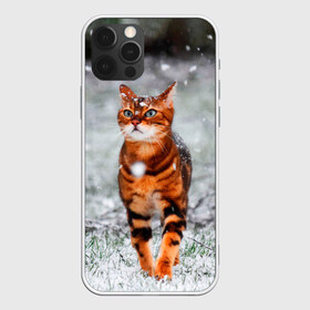Чехол для iPhone 12 Pro Max с принтом Кот и снег в Кировске, Силикон |  | cat | животные | звири | кис | киска | кот | котейка | котик | коты | котяра | кошка | кошки | природа