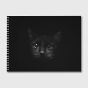 Альбом для рисования с принтом черный кот в Кировске, 100% бумага
 | матовая бумага, плотность 200 мг. | животные | зайка | заяц | звери | зевающий кот | кися | кот | котенок | котики | коты | кричащий кот | кролик | минимализм | питомцы | прикольные картинки