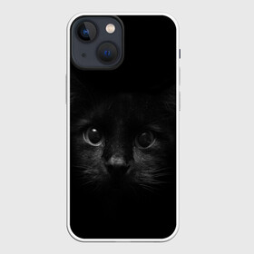 Чехол для iPhone 13 mini с принтом черный кот в Кировске,  |  | животные | зайка | заяц | звери | зевающий кот | кися | кот | котенок | котики | коты | кричащий кот | кролик | минимализм | питомцы | прикольные картинки