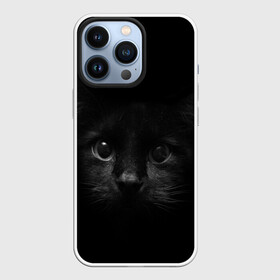 Чехол для iPhone 13 Pro с принтом черный кот в Кировске,  |  | Тематика изображения на принте: животные | зайка | заяц | звери | зевающий кот | кися | кот | котенок | котики | коты | кричащий кот | кролик | минимализм | питомцы | прикольные картинки