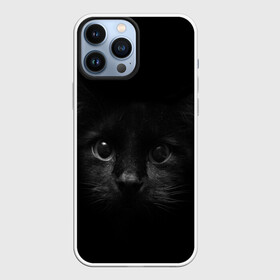 Чехол для iPhone 13 Pro Max с принтом черный кот в Кировске,  |  | животные | зайка | заяц | звери | зевающий кот | кися | кот | котенок | котики | коты | кричащий кот | кролик | минимализм | питомцы | прикольные картинки