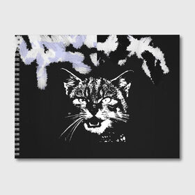 Альбом для рисования с принтом кот в Кировске, 100% бумага
 | матовая бумага, плотность 200 мг. | животные | звери | зевающий кот | кися | кот | котенок | котики | коты | кричащий кот | минимализм | питомцы | прикольные картинки