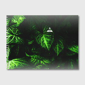 Альбом для рисования с принтом Листья зеленые CODE ERROR 404 в Кировске, 100% бумага
 | матовая бумага, плотность 200 мг. | 404 | code | error | зеленые | листья
