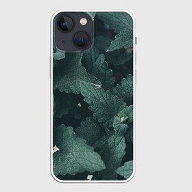 Чехол для iPhone 13 mini с принтом Мята. в Кировске,  |  | abstract | brand | geometry | sport | texture | абстракция | бренд | геометрия | классика | летние | минимализм | модные | популярные иллюстрации | прикольные картинки | спорт | стиль | стильные | текстура