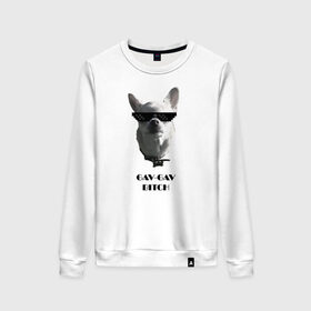 Мужской свитшот хлопок с принтом cool dog в Кировске, 100% хлопок |  | chihuahua | cool | dog | fun | funny dog | puppy | small dog | маленький пес | прикол | смешной принт | чихуахуа