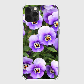 Чехол для iPhone 12 Pro Max с принтом Анютины глазки в Кировске, Силикон |  | flowers | анютины глазки | природа | природный | растение | растения | цветок | цветочек | цветочки | цветы