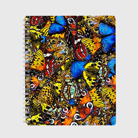 Тетрадь с принтом Ночные Бабочки в Кировске, 100% бумага | 48 листов, плотность листов — 60 г/м2, плотность картонной обложки — 250 г/м2. Листы скреплены сбоку удобной пружинной спиралью. Уголки страниц и обложки скругленные. Цвет линий — светло-серый
 | animals | butterfly | pattern | акварель | бабочка | бабочки | животные | крылышки | крылья | насекомые | ночные бабочки | паттерн | рисунок | тропические бабочки | цветные бабочки