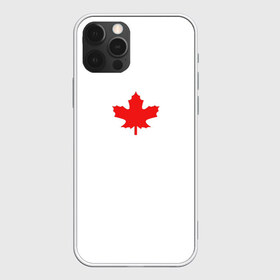 Чехол для iPhone 12 Pro Max с принтом Canada forever в Кировске, Силикон |  | aesthetic | autum | bts | canada | doomer | lofi | pumkin | абстракция | аниме | канада | киберпанк | листья | осень | текстуры | тыква | эстетика