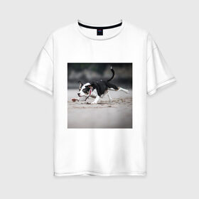 Женская футболка хлопок Oversize с принтом собака в Кировске, 100% хлопок | свободный крой, круглый ворот, спущенный рукав, длина до линии бедер
 | веселье | животные | мячик | отдых | собака