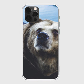Чехол для iPhone 12 Pro Max с принтом Гризли в Кировске, Силикон |  | Тематика изображения на принте: гризли | зверь | медведь | мишка