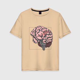Женская футболка хлопок Oversize с принтом Мозг в Кировске, 100% хлопок | свободный крой, круглый ворот, спущенный рукав, длина до линии бедер
 | анатомия | мозг | мысли | рамка | ум | цвет