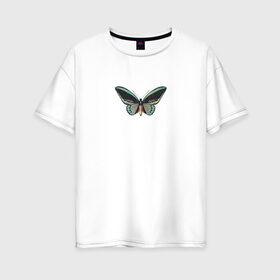 Женская футболка хлопок Oversize с принтом Бабочка в Кировске, 100% хлопок | свободный крой, круглый ворот, спущенный рукав, длина до линии бедер
 | бабочка | зеленая бабочка | насекомое