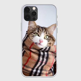 Чехол для iPhone 12 Pro Max с принтом Кот в шарфе в Кировске, Силикон |  | Тематика изображения на принте: cat | животные | звири | кис | киска | кот | котейка | котик | коты | котяра | кошка | кошки | природа