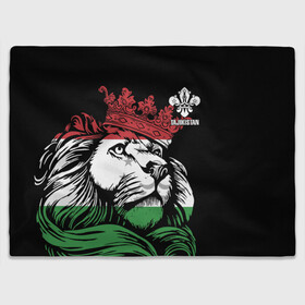 Плед 3D с принтом Таджикистан в Кировске, 100% полиэстер | закругленные углы, все края обработаны. Ткань не мнется и не растягивается | crown | flag | king | lion | republic | tajikistan | король | корона | лев | республика | таджикистан | флаг | царь