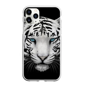 Чехол для iPhone 11 Pro Max матовый с принтом Белый тигр в Кировске, Силикон |  | белый тигр | крупный тигр | крупным планом | с голубыми глазами | тигры