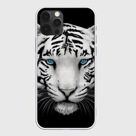 Чехол для iPhone 12 Pro Max с принтом Белый тигр в Кировске, Силикон |  | белый тигр | крупный тигр | крупным планом | с голубыми глазами | тигры