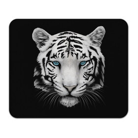 Коврик для мышки прямоугольный с принтом Белый тигр в Кировске, натуральный каучук | размер 230 х 185 мм; запечатка лицевой стороны | белый тигр | крупный тигр | крупным планом | с голубыми глазами | тигры
