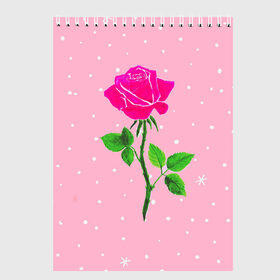 Скетчбук с принтом Роза на розовом в Кировске, 100% бумага
 | 48 листов, плотность листов — 100 г/м2, плотность картонной обложки — 250 г/м2. Листы скреплены сверху удобной пружинной спиралью | женственно | красота | роза | розовый | снежинки | фуксия | цветок | шик