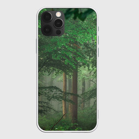 Чехол для iPhone 12 Pro Max с принтом Тропический лес в Кировске, Силикон |  | деревья | джунгли | зеленый лес | зелень | лес | тропики | тропический лес
