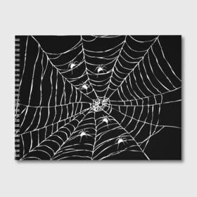 Альбом для рисования с принтом Паутина с пауками в Кировске, 100% бумага
 | матовая бумага, плотность 200 мг. | Тематика изображения на принте: black and white | darkness | halloween | horror | night | spider | web | готика | жуки | жуткий | мальчикам | насекомые | нечисть | нити | ночные | ночь | пауки | паутина | подарок | сетка | страшный | темный | тьма | хеллоуин | хоррор