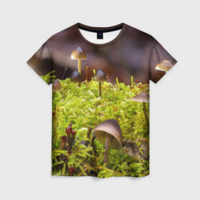 Женская футболка 3D с принтом Мох в Кировске, 100% полиэфир ( синтетическое хлопкоподобное полотно) | прямой крой, круглый вырез горловины, длина до линии бедер | гриб | грибы | дерево | деревья | зелёные | зелёный | зелень | лес | леса | лесной | мох | мхи | пенёк | пеньки | пни | поганка | поганки | природа | природный | флора
